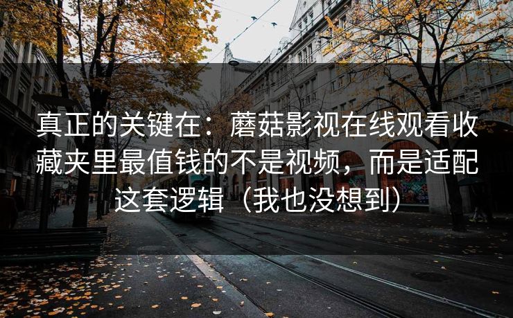 真正的关键在:蘑菇影视在线观看收藏夹里最值钱的不是视频,而是适配这套逻辑(我也没想到)