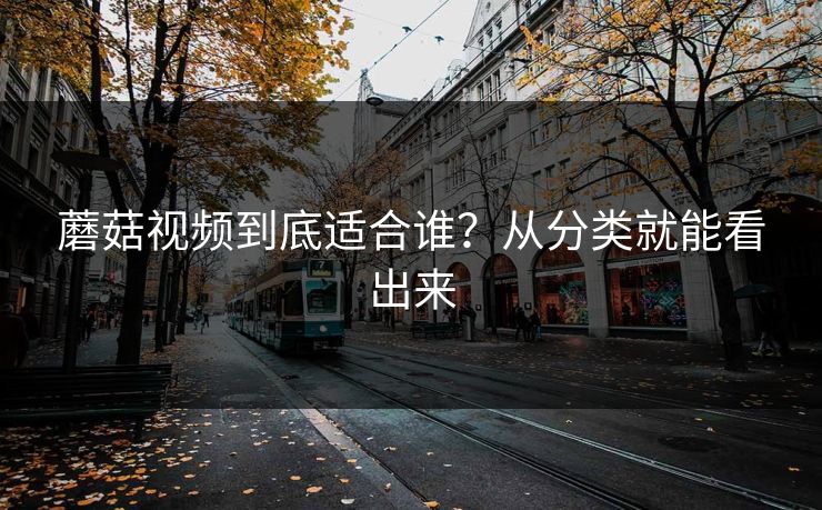 蘑菇视频到底适合谁？从分类就能看出来