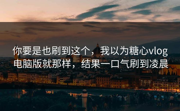 你要是也刷到这个，我以为糖心vlog电脑版就那样，结果一口气刷到凌晨