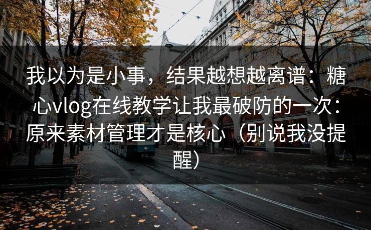 我以为是小事，结果越想越离谱：糖心vlog在线教学让我最破防的一次：原来素材管理才是核心（别说我没提醒）
