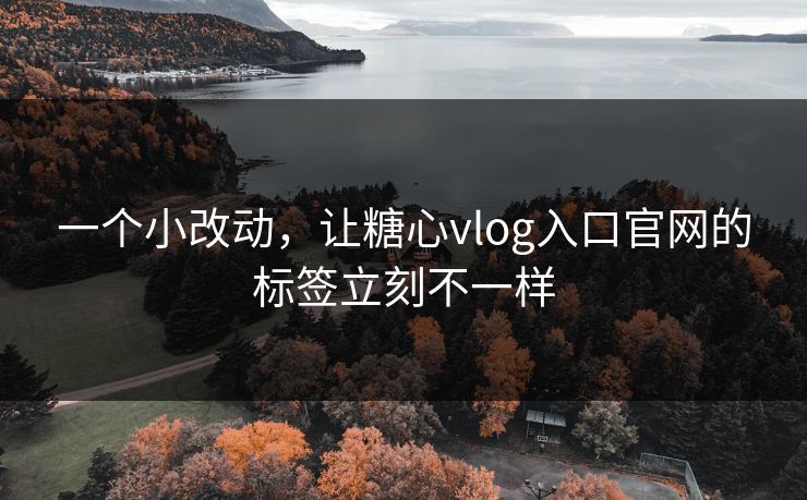 一个小改动，让糖心vlog入口官网的标签立刻不一样