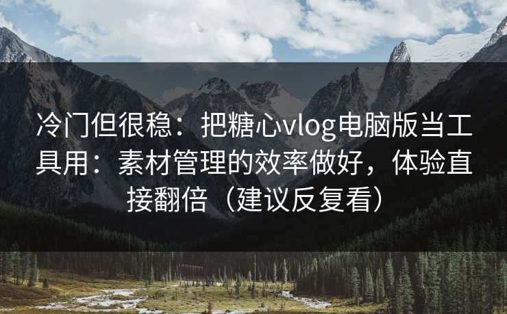 冷门但很稳：把糖心vlog电脑版当工具用：素材管理的效率做好，体验直接翻倍（建议反复看）