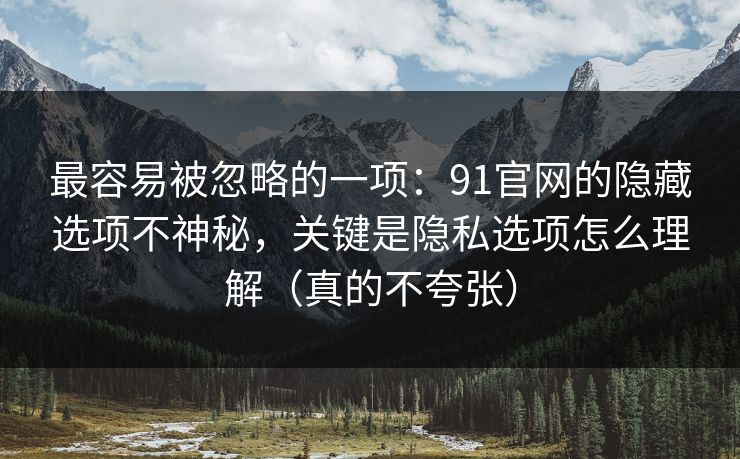 最容易被忽略的一项：91官网的隐藏选项不神秘，关键是隐私选项怎么理解（真的不夸张）